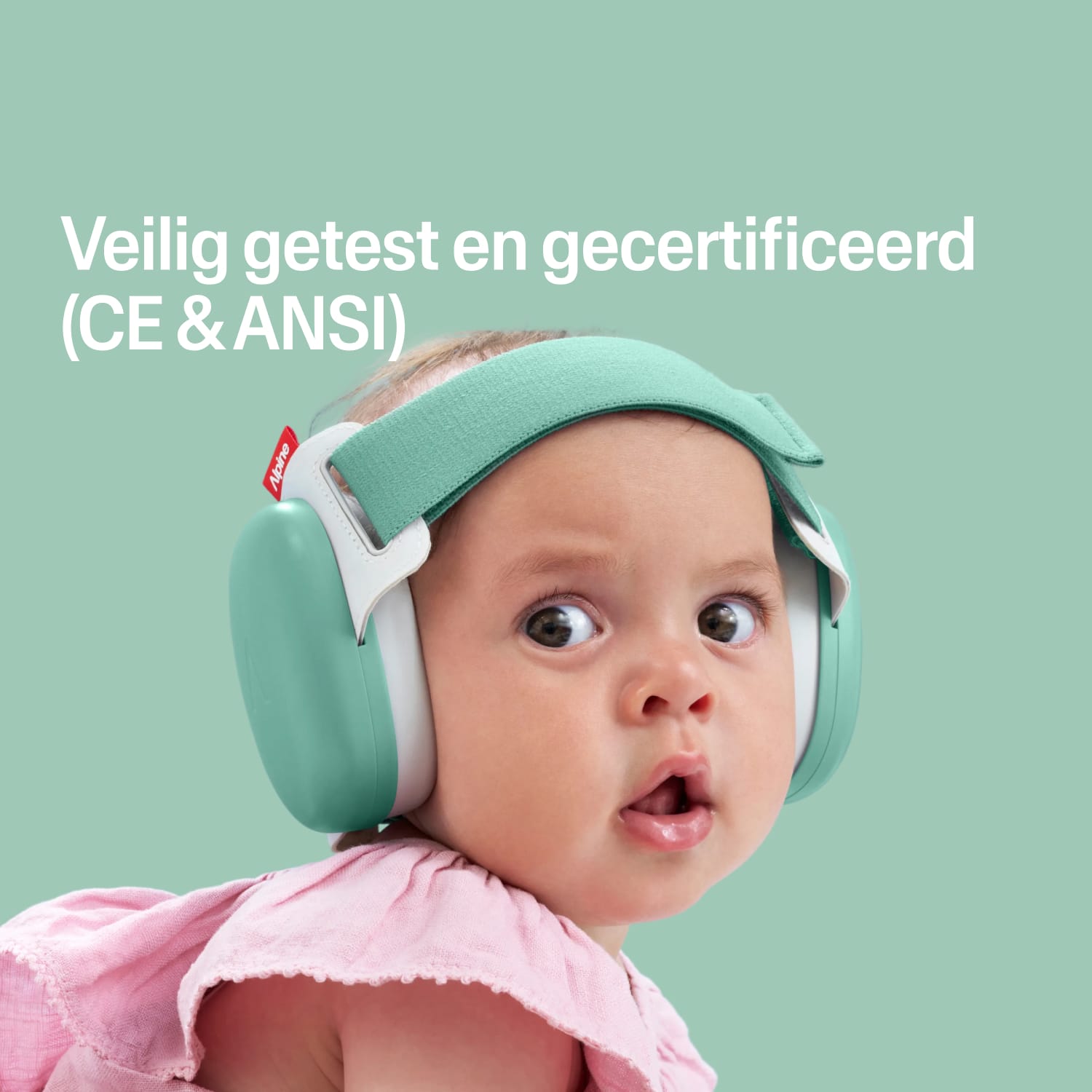 #lang_nl #color_sage-green
